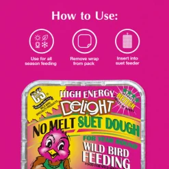 C&S High Energy Delight No Melt Suet Dough for Wild Birds (11 oz)