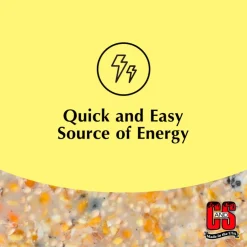 C&S High Energy Suet Treat for Wild Birds (11.75 oz)