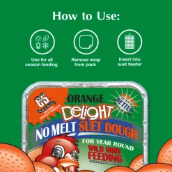C&S No Melt Suet Dough for Wild Birds (11.75 oz)