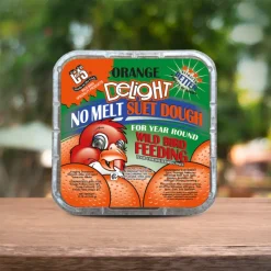 C&S No Melt Suet Dough for Wild Birds (11.75 oz)