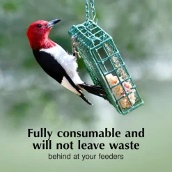 C&S No Melt Suet Dough for Wild Birds (11.75 oz)