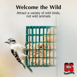 C&S Peanut Delight No Melt Suet Dough for Wild Birds (11.75 oz)