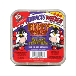 C&S Suet Treat for Wild Birds, 12 pack