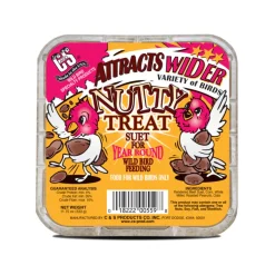 C&S Suet Treat for Wild Birds, 12 pack