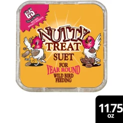 C&S Suet Treat for Wild Birds, 12 pack