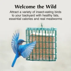 C&S Suet Treat for Wild Birds, 12 pack