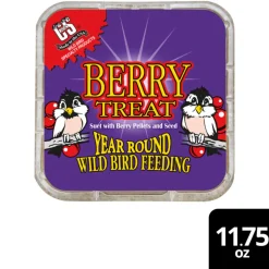 C&S Suet Treat for Wild Birds, 12 pack