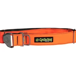 Cycle Dog Regular Width Collar Metal Buckle Orange Max Reflective