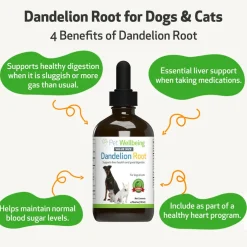 Dandelion Root Digestive & Liver Support for Dogs