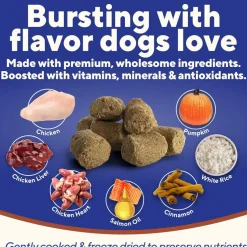 Dave's Digesti-Bites Freeze-Dried Chicken, Rice & Pumpkin Dog Treats