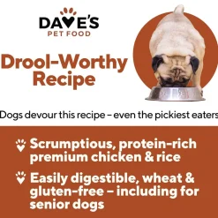 Dave's Pet Food Chicken & Rice Recipe Canned Wet Dog Food, 13-oz can, case of 12