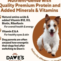 Dave's Pet Food Chicken & Rice Recipe Canned Wet Dog Food, 13-oz can, case of 12