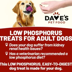 Dave's Pet Food Renal-Friendly Sweet Potato Recipe Treats For Dogs (5 oz)