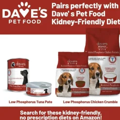 Dave's Pet Food Renal-Friendly Sweet Potato Recipe Treats For Dogs (5 oz)