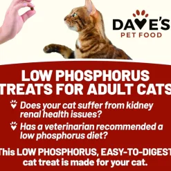 Dave's Pet Food Renal-Friendly Sweet Potato Recipe Treats For Cats (3 oz)