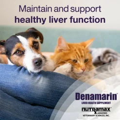 Denamarin for Cats and Small Dogs in a Bottle