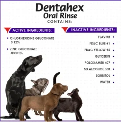 Dentahex Oral Hygiene Rinse (8 oz)