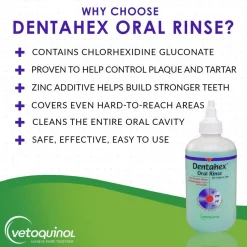 Dentahex Oral Hygiene Rinse (8 oz)