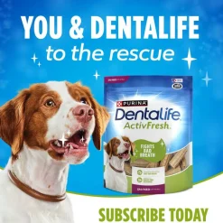 DentaLife ActivFresh Daily Oral Care Small/Medium Dental Dog Treats