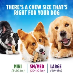 DentaLife Daily Oral Care Large Dental Dog Treats, 18 count