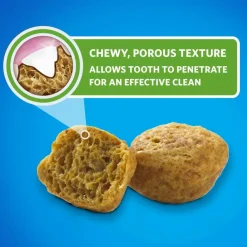 DentaLife Savory Salmon Flavor Dental Cat Treats, 1.8-oz