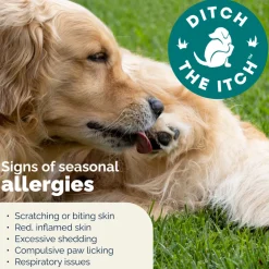 Dermabliss Advanced Vet Strength Seasonal Allergy Health Chews for Dogs
