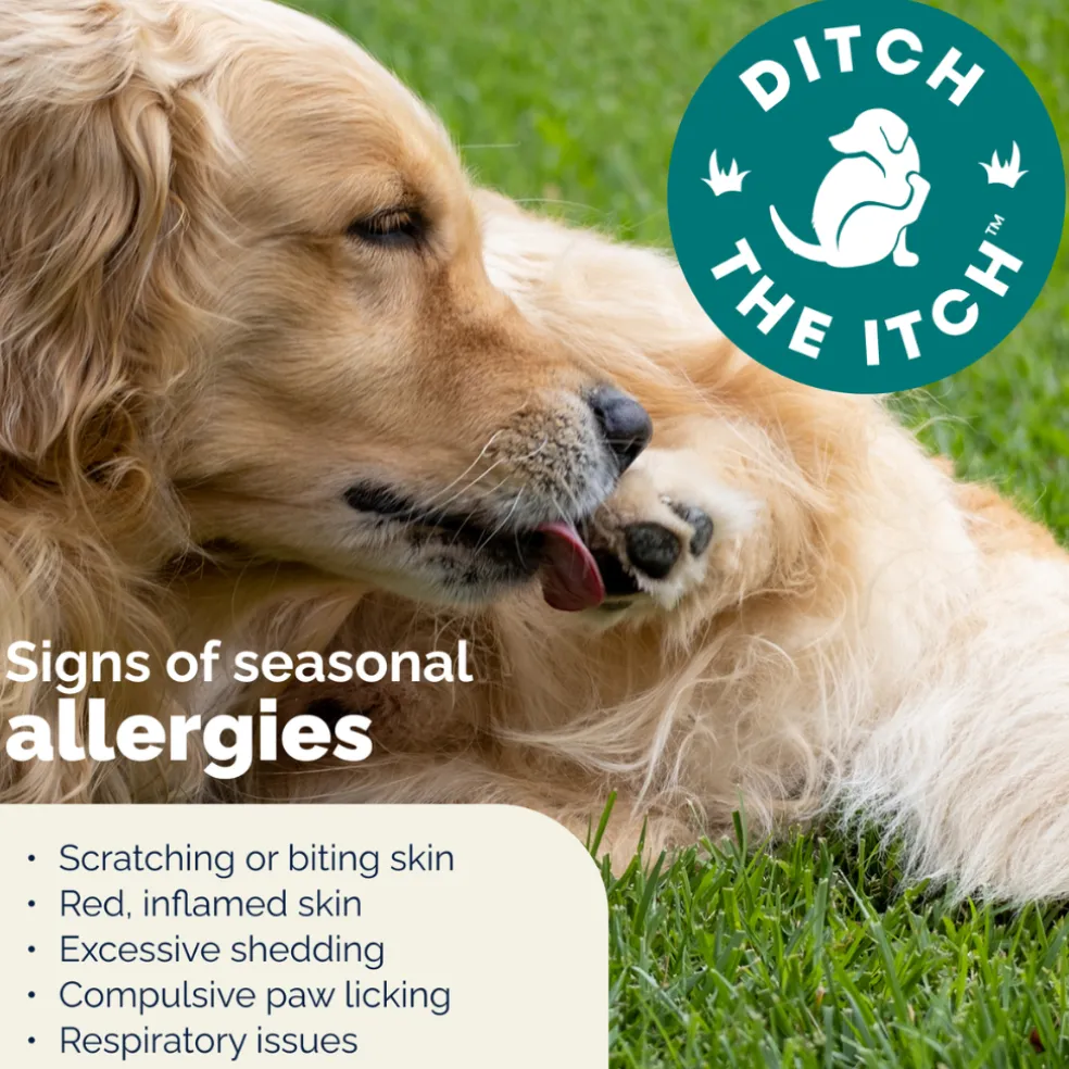 Dermabliss Seasonal Allergy Health & Immune Soft Chews for Dogs