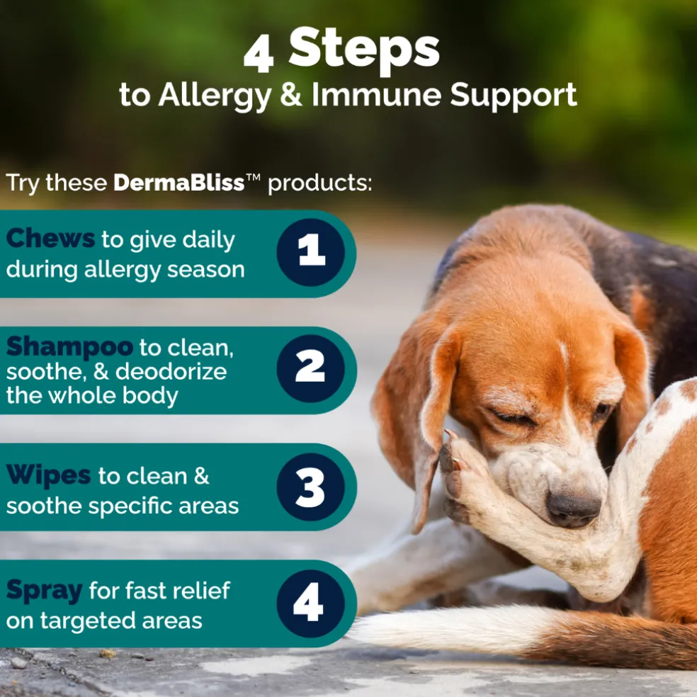 Dermabliss Seasonal Allergy Health & Immune Soft Chews for Dogs