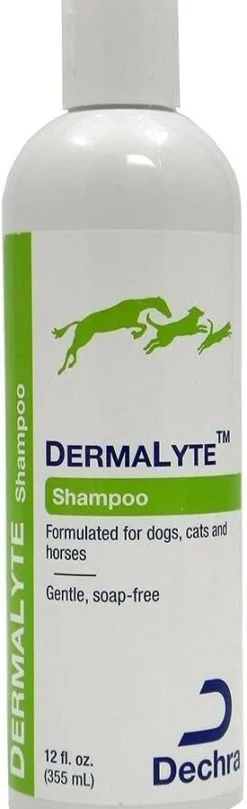 DermaLyte Shampoo