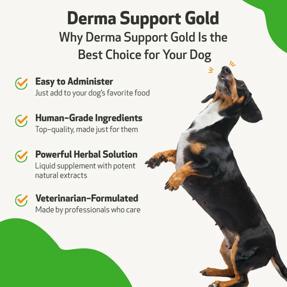 Derma Support Gold for Dogs Healthy Coat, Odor & Itching (2 oz)