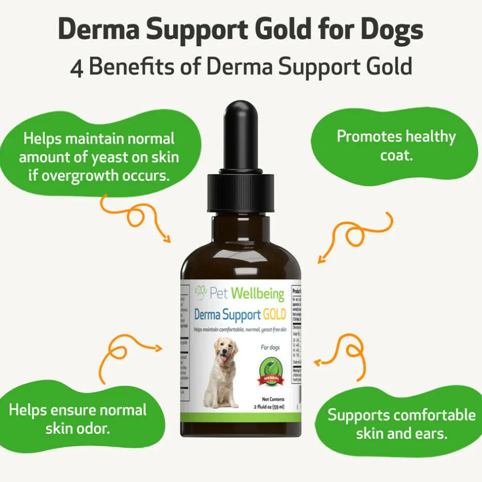 Derma Support Gold for Dogs Healthy Coat, Odor & Itching (2 oz)
