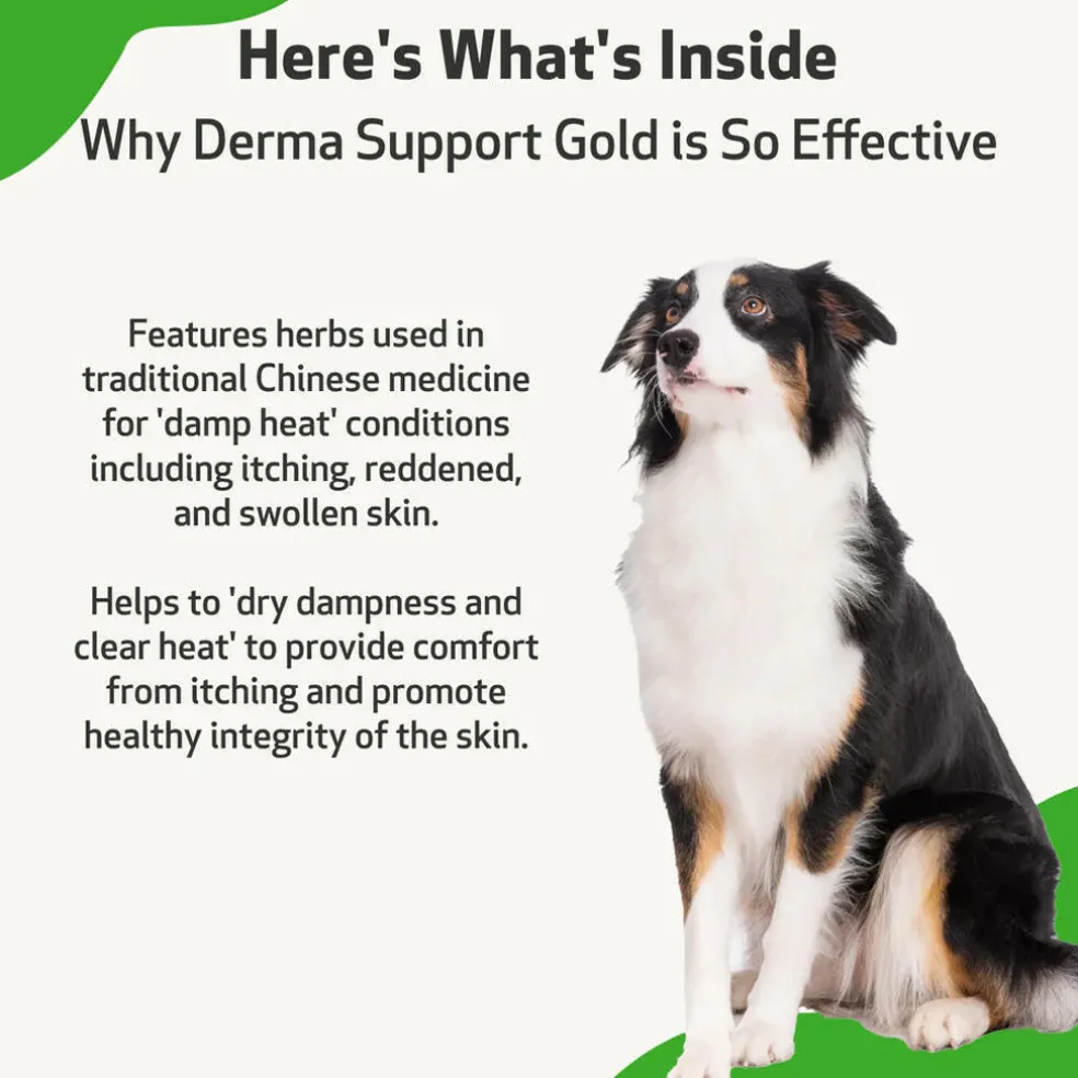 Derma Support Gold for Dogs Healthy Coat, Odor & Itching (2 oz)