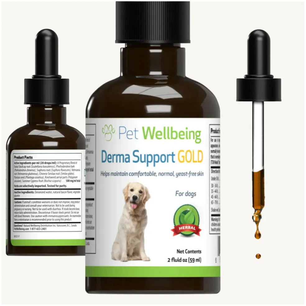 Derma Support Gold for Dogs Healthy Coat, Odor & Itching (2 oz)