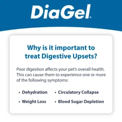DiaGel Anti-Diarrheal Gel for Large Dogs (5 ml)