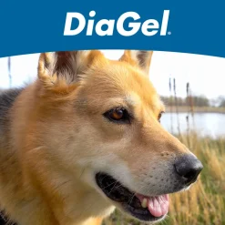 DiaGel Anti-Diarrheal Gel for Large Dogs (5 ml)