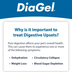 DiaGel Anti-Diarrheal Gel for Medium Dogs (3 ml)
