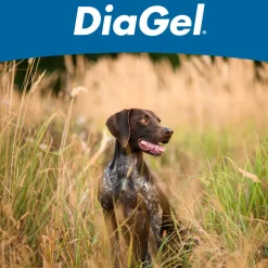 DiaGel Anti-Diarrheal Gel for Medium Dogs (3 ml)