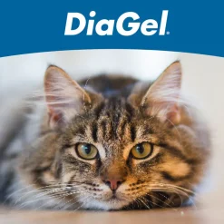 DiaGel Anti-Diarrheal Gel for Cats (1 ml)