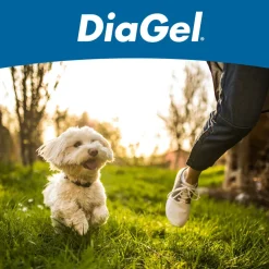 DiaGel Anti-Diarrheal Gel for Small Dogs (1 ml)