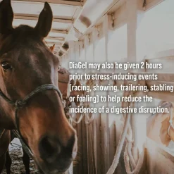 DiaGel Anti-Diarrheal Gel for Horses (30 ml)