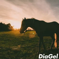 DiaGel Anti-Diarrheal Gel for Horses (30 ml)
