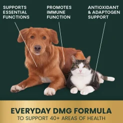 DMG Immunity Health Liquid for Cats and Dogs