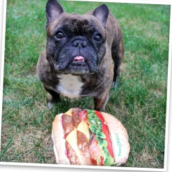Doggijuana Get the Munchies Refillable Juananip Cheeseburger Squeaky Plush Dog Toy