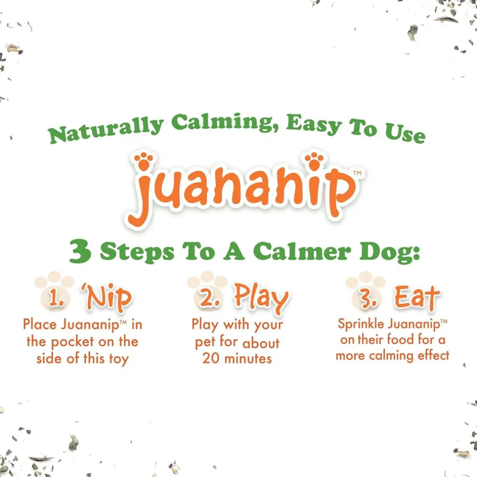 Doggijuana Get the Munchies Refillable Juananip Donut Squeaky Plush Dog Toy