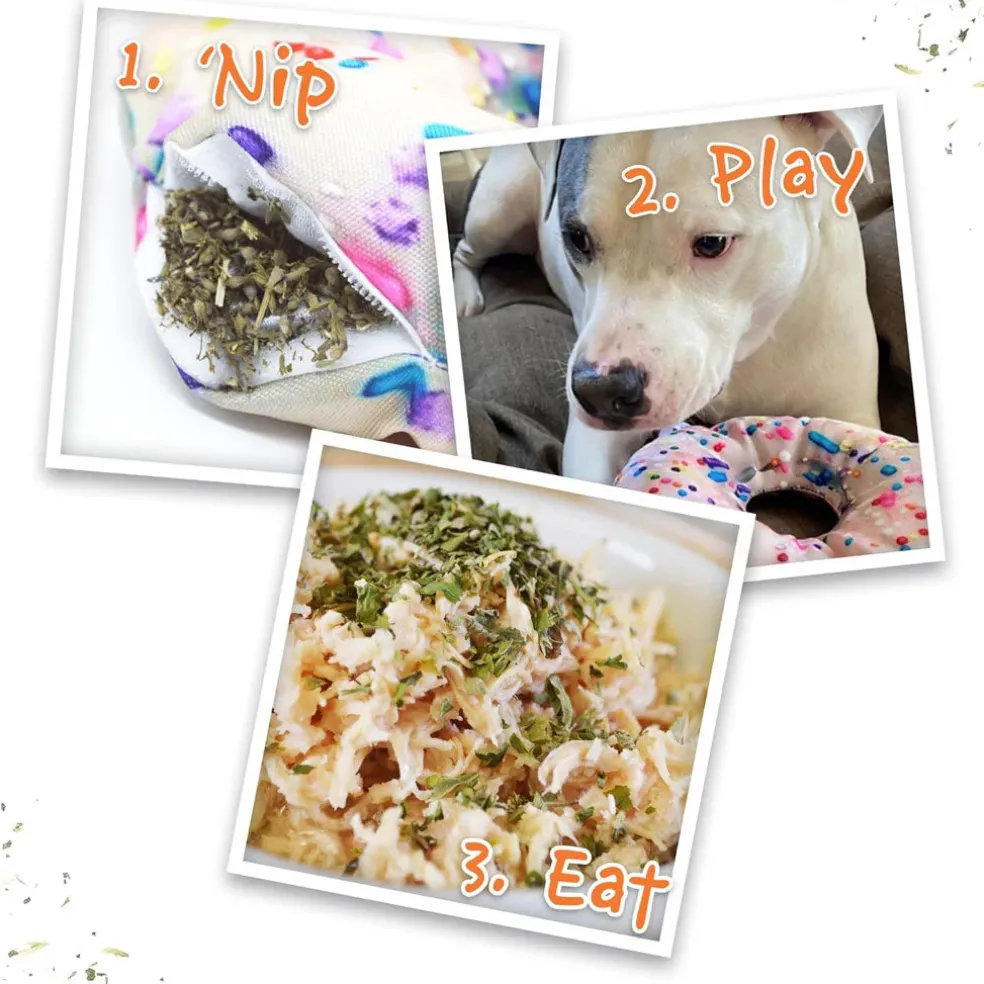 Doggijuana Get the Munchies Refillable Juananip Donut Squeaky Plush Dog Toy