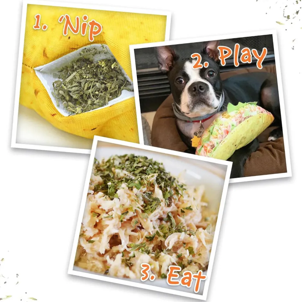 Doggijuana Get the Munchies Refillable Juananip Taco Squeaky Plush Dog Toy