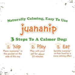 Doggijuana Get the Munchies Refillable Juananip Pizza Squeaky Plush Dog Toy, 1 count