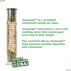 Doggijuana Tuffer Chewer Refillable Juananip Supreme Pizza Squeaky Dog Plush Toy, 1 count