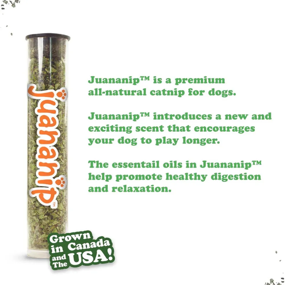 Doggijuana Tuffer Chewer Refillable Juananip Supreme Pizza Squeaky Dog Plush Toy, 1 count