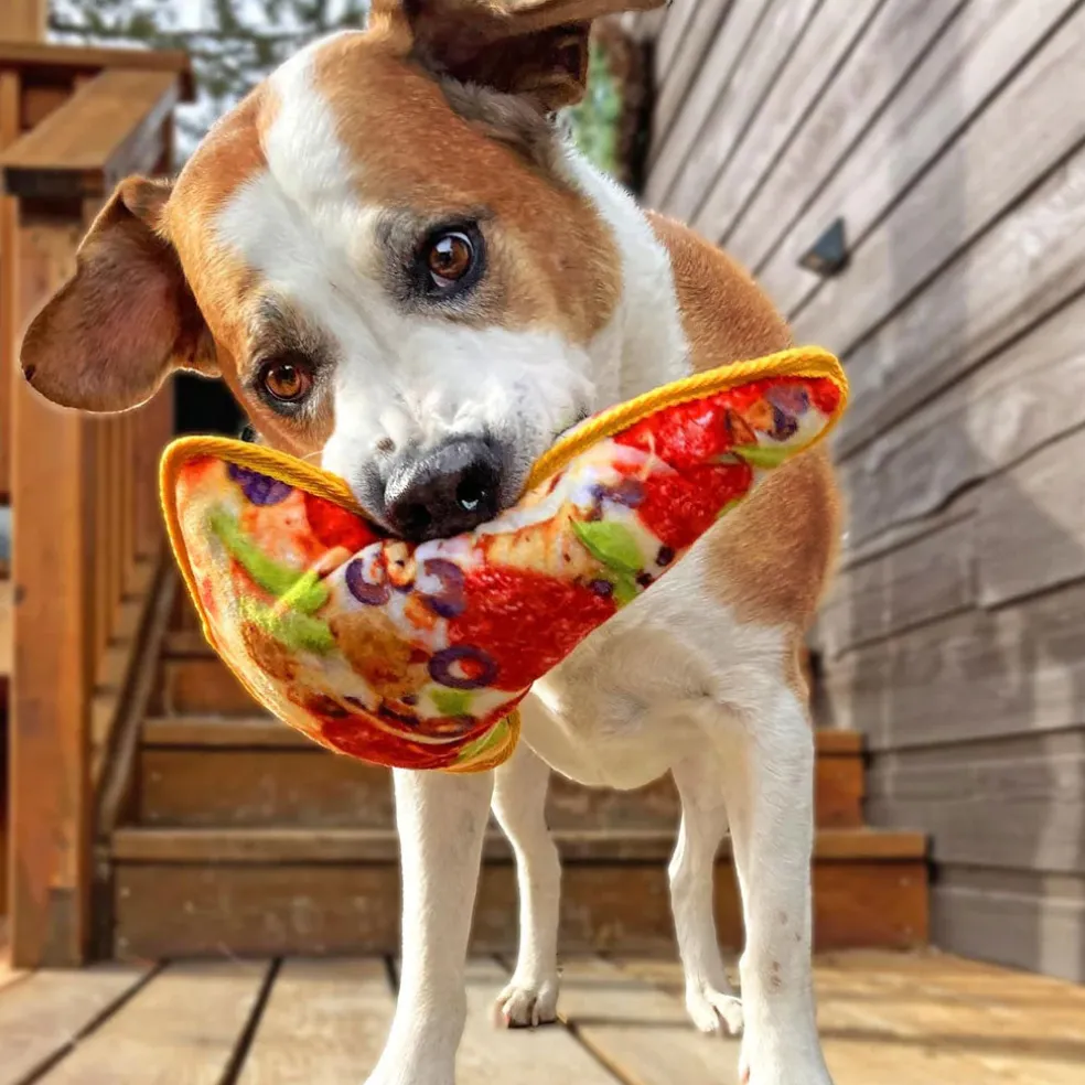 Doggijuana Tuffer Chewer Refillable Juananip Supreme Pizza Squeaky Dog Plush Toy, 1 count